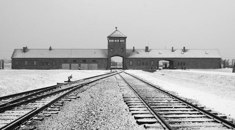 The final solution (75 jaar bevrijding Auschwitz)